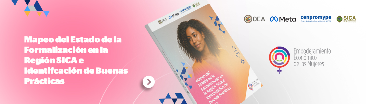 Mapeo del Estado de la Formalización en la Región SICA e Identificación de Bu...