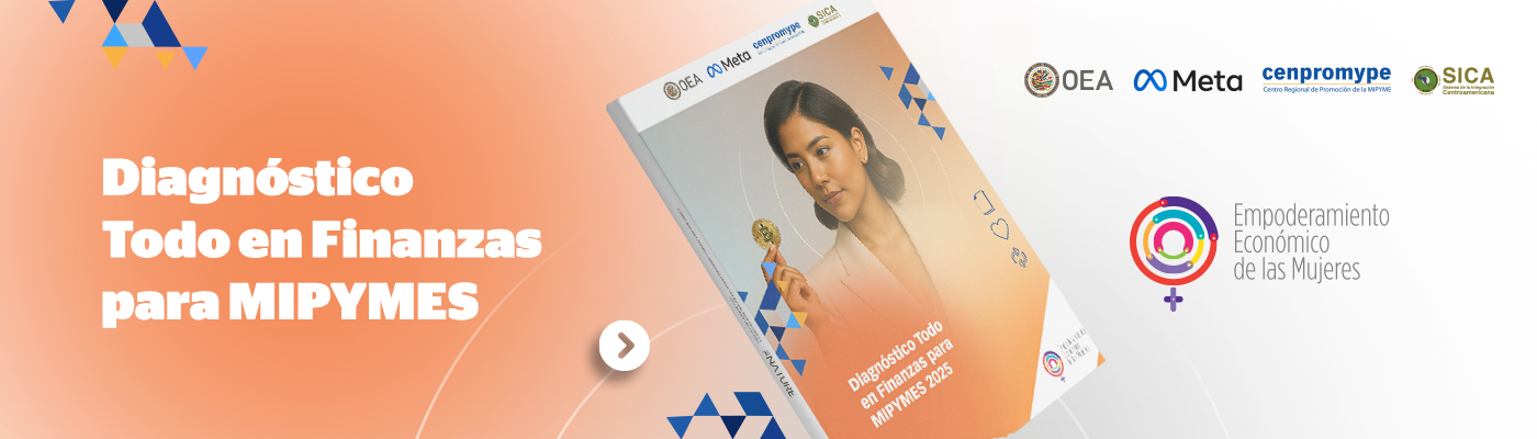 Diagnóstico Todo en Finanzas para MIPYMES 2025