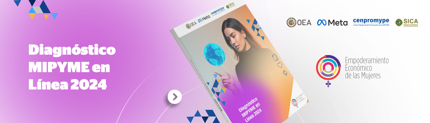 Diagnóstico MIPYME en Línea 2024